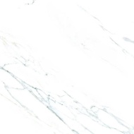 Sandimas Fontana Marble 60 X 60 PS Granit