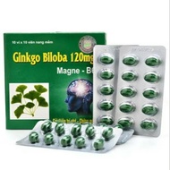 Ginkgo Biloba 120mg Brain Nutritional Supplement Q10 100 tablets