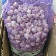 1 Guni Bawang Putih Tunggal / Bawang Lanang (9kg)