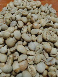 Biji Kopi Mentah 1kg /robusta green beans / Biji Kopi Mentah original / Kopi gunung asli