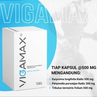 Obat Vigamax Asli Original Vitamin Stamina Pria Dewasa Kuat Tahan