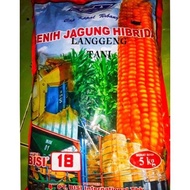 Termurah Benih Jagung bisi 18 Hibrida Bisi18 kemasan 5kg