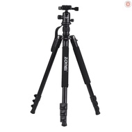 ZOMEI Q555 63inch Lightweight Aluminum Alloy Travel Portable Camera Tripod with Ball Head/ Quick Release Plate/ Carry Bag for Canon   DSLR  [24NEW]