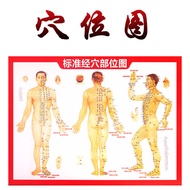 Human Body Meridian Acupuncture Map Moxibustion Book Description Map Double-Sided Printing Press Acu