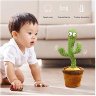 Dencing Cactus Cactus Plush Toy Talk Kaktus Bercakap Dancing toy song plush Dancing Cactus Early Chi
