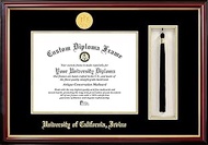 Campus Images CA933PMHGT UC Irvine Tassel Box and Diploma Frame, 11" x 8.5"