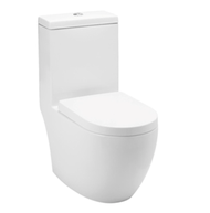 Baron BW888 Toilet Bowl Geberit Washdown Flushing and 1-Piece Toilet Bowl With Soft Closing Seat Cov