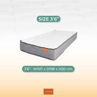 ZEN Collection ที่นอน ที่นอนยางพารา เสริมชั้นเมมโมรี่โฟม 8 นิ้ว MACARON ขนาด 3.5ฟุต 5ฟุต 6ฟุต