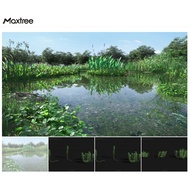 [DIGITAL] MaxTree Vol.29 Aquatic Plants Vray Corona