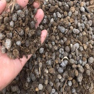 Organic Fermented Sheep Manure Pure Dry Egg Particle Vegetable Farming Iron Wrap Stone Orchid Specia