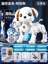 Educational Walking Talking Robot Toy