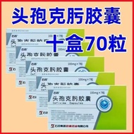 2026.07. 31 Expires Spore Spore Spore Capsules 100mg * 7 Capsules/Box Valid Until July 31 Days 2026.
