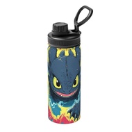 How To Train Your Dragon Large capacity insulated water bottle 18OZ,Cartoon insulated kettle 500ML s