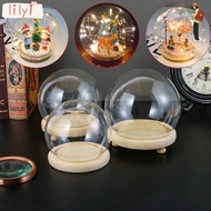 LILY Glass cloche Home Decor Terrarium Tabletop Spherical Glass Vase Terrarium Transparent Bottle Flower Storage box