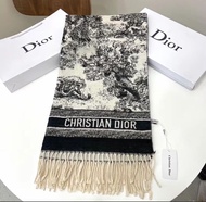 Christian Dior 圍巾