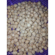 Buah Rotan Homemade IM