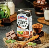 Susu UHT Cimory Chocolate 250ml / UHT Fresh Milk Chocolate / Susu Cimory Chocolate / UHT Cimory Choc
