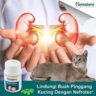 All in One Urinary Tract Infections for Cat- 1bottle= 60tablet