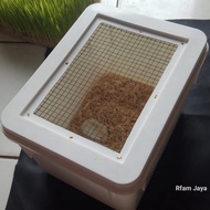 HAMSTER CAGE RJ01 BOX CAGE GERBIL TARANTULA INSECT CENTIPED GECKO REPTILE CRICKET CAGE