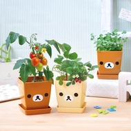 Rilakkuma拉拉熊家族 花園植栽盆器