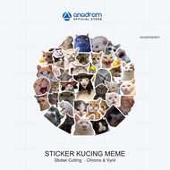 Cute Meme Cat Stickers | Kocheng Meme Sticker | Cute cat stickers | Cat Meme Emoji Sticker | Anadrom
