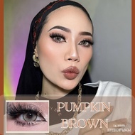 Pumpkin 14.5mm (Effect 16mm) Contact Lens 0-600 Power