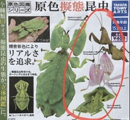 蘭花螳螂 昆蟲扭蛋 扭旦 食玩 Takara Tomy 