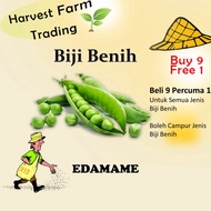 Biji Benih Endamame10 Biji Vegetable Seed Kacang Jepun  毛豆种子  Seeds Plant Seed  Biji Benih Kacang Bu