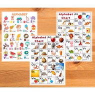 Laminated Charts Alphabet ABC's Educational Charts A4 size
