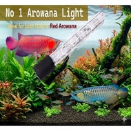Arowana Tanning Light. Sizes from 2 feet to 6 feet.