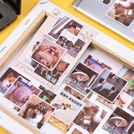 (Instocks) Cute Funny Dog Meme Stickers (Bujo/Scrapbook)