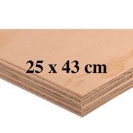 25 x 43 cm Premium Marine Plywood