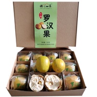 Third Generation Low Temperature Dried Fruit White Meat Ginkgo Bag Pack Snack Health Food Guangxi Fu