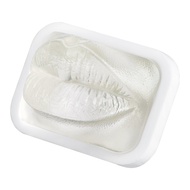 High Transparency Silicone Lip Injection Practice Model Dermal Filler Training Aid for Aesthetic Med