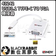[LINDY LINDY 43242 USB3.1 TYPE-C TO VGA Adapter] Digital Vinyl Rabbit