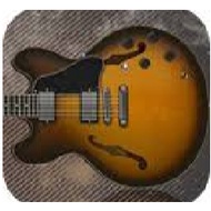 Ample Sound - Ample Guitar Semi Нollow v4.0 - Windows