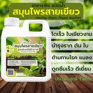 อาหารพืช ชนิดน้ำ ขนาด 1 ลิตร สมุนไพร สายเขียว ปุ๋ยกระท่อม กัญ ชา บำรุงใบ เป็รพิเศษ งาม แข็งแรง ต้านท
