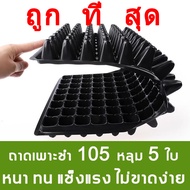 🔥 ส่งไว 🔥ถาดเพาะกล้า ถาดเพาะชำ 105หลุม 100แผ่น ถาดเพาะต้นกล้า ถาดเพาะกล้า ถาดเพาะต้นอ่อน ถาดเพาะเมล็