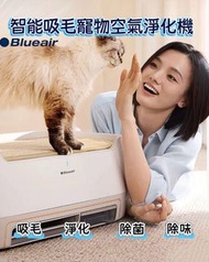 Blueair 智能吸毛寵物空氣清淨機 💨 窩在一起，自在呼吸！