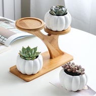 Desktop Flower Stand Creative Flower Stand Office Flower Stand Living Room Small Flower Stand Displa