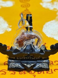 龍婆瑪哈仕啦/龍婆濟公  招財鯊魚