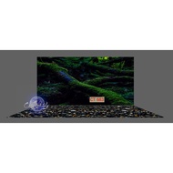 3d painting. stickers for aquariums, arowana fish tanks (back painting)