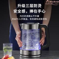 德國帝盛燒水壺保溫一體智能自動恆溫電熱水壺透明玻璃家用電水壺