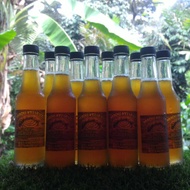 Madu lebah kelulut asli