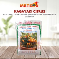 Kagayaki Citrus Fertilizer / Baja Limau SP Induce Growing and Fruiting 400g