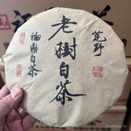 2010年福鼎白茶陈年老白茶原料老树寿眉350克古树茶熟茶饼