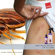 Natura _ bedbugs Killer 500ml (BED BUGS, Cockcroach, Ants, Dust Mites) _ (BED BUGS, Cockc
