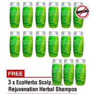 Buy 10 Free 3 | EcoHerbs Value Pack Shampoo Treatment for Hair Loss, Hair Regrowth &amp; Dandruff: Natural Hair Loss/Hair Thinning Treatment for Dandruff, Oily, Itchy, Dry, Flaky, Headache, Migraine [100% Original | Ready-Stock]