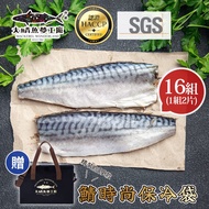 【大鯖魚夢工廠】頂級挪威薄鹽鯖魚切片-2入組(共16組，200~250g/組)+贈鯖時尚保冷袋_