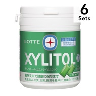 【6入組】木糖醇膠合石灰薄荷F瓶